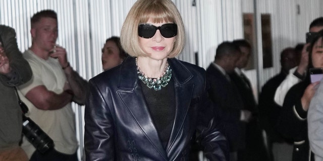 Anna Wintour is once again the Met Gala's honorary co-chair.