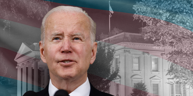 President Biden's appointees to his HIV advisory council have a woke past according to documents obtained by Fox News Digital.