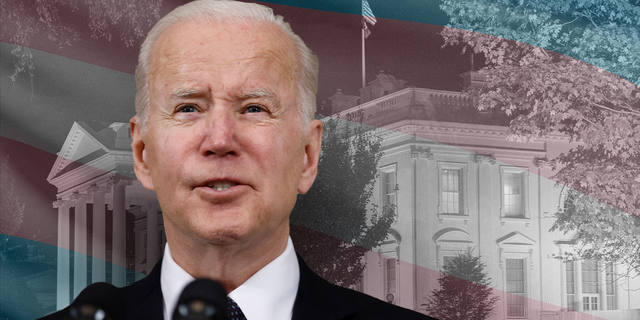 President Biden's appointees to his HIV advisory council have a woke past according to documents obtained by Fox News Digital.