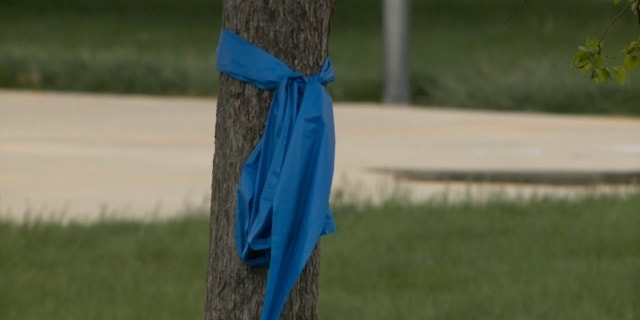 Mourning neighbors wrapped trees in blue ribbons in honor of Conroy around town.