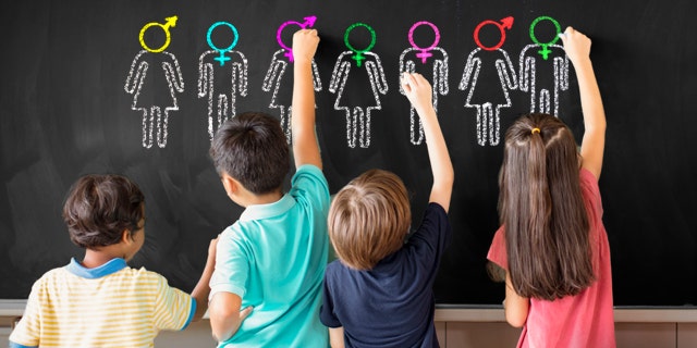 Woke elementary colleges behind ‘exponential enhance’ in youngsters’ gender confusion: Dr. Elana Fishbein Woke elementary colleges behind ‘exponential enhance’ in youngsters’ gender confusion: Dr. Elana Fishbein