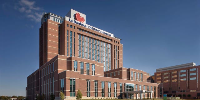 A preschooler and a toddler with special dietary needs were admitted to Le Bonheur Children’s Hospital in Memphis, Tennessee, because of the baby formula shortage.