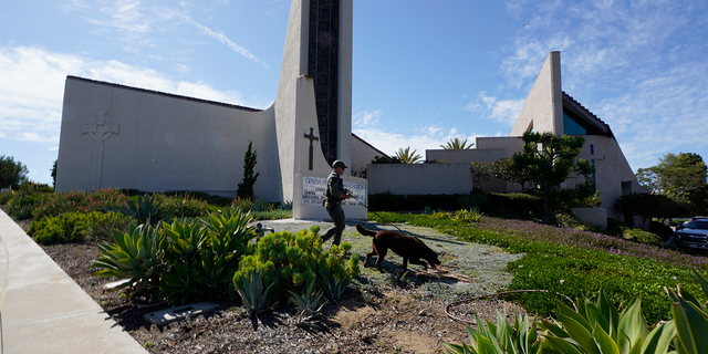 An Orange County Sheriff's Department K-9 unit checks the grounds at Geneva Presbyterian Church in Laguna Woods, Calif., Sunday, May 15, 2022, after a fatal shooting. (AP Photo/Damian Dovarganes)