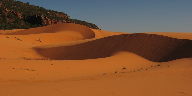 Coral Pink Sand Dunes State Park is located in southwestern Utah. The state park is known for its pink sand and red sandstone cliffs.