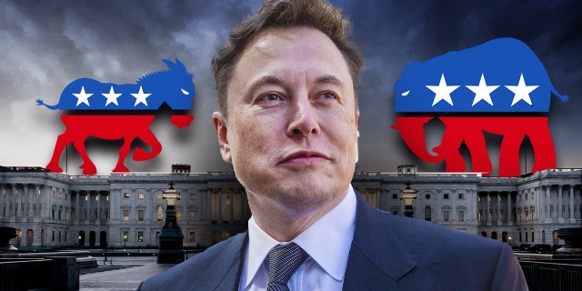 Elon Musk announced on Wednesday that he voted for a Republican for the first time.