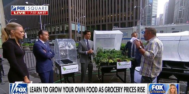 Skip Bedell joined "Fox and Friends Weekend" and demonstrated the Vegepod — a raised garden bed system.