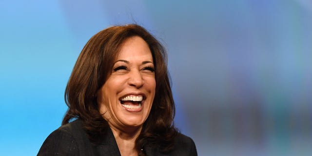 Vice President Kamala Harris. (Photo by Ethan Miller/Getty Images)