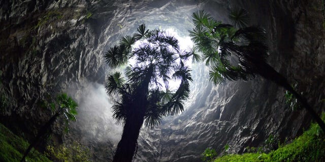FILE -- Photo taken on Oct. 10, 2020, shows palm trees in a Tiankeng, or giant karst sinkhole, at Luoquanyan Village in Xuan'en County, Enshi Tujia and Miao Autonomous Prefecture, central China's Hubei Province.