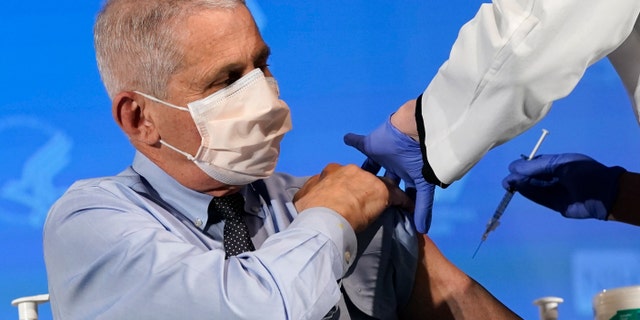 BETHESDA, MARYLAND - DECEMBER 22: Dr. Anthony Fauci, director of the National Institute of Allergy and Infectious Diseases, is preparing to receive his first dose of the COVID-19 vaccine at the National Institutes of Health on December 22, 2020 in Bethesda, Maryland. (Photo by Patrick Semansky-Pool / Getty Images)