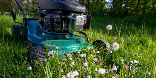 Illustration picture shows a lawn mower on the grass lawn in a garden in Sint-Maria-Lierde, Sunday 02 May 2021. BELGA PHOTO NICOLAS MAETERLINCK (Photo by NICOLAS MAETERLINCK/BELGA MAG/AFP via Getty Images)