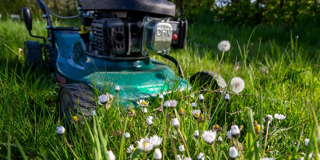 File photo of a lawnmower on grass.