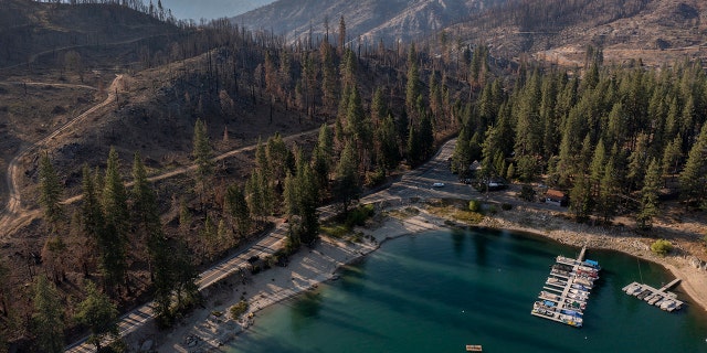 In an aerial view, forest that was burned by the Creek Fire, which began on September 4, 2020 and was fully contained on December 24, abuts Shaver Lake on July 14, 2021 near Shaver Lake California.