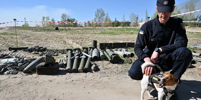 A deminer and his explosive material sniffer dog Patron stand next to unexploded material at an airport in the Kyiv region, on May 5, 2022. (Sergei Supinsky/AFP via Getty Images)