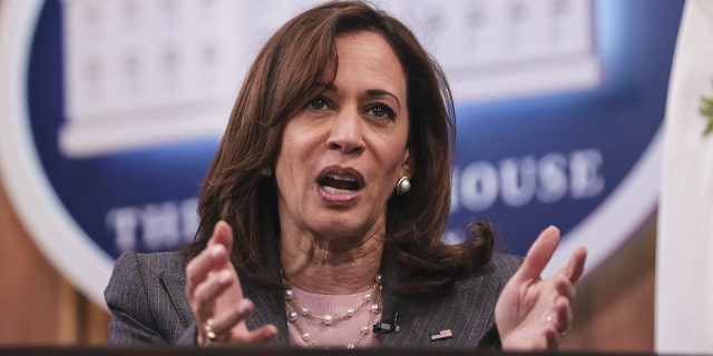 US Vice President Kamala Harris has been slammed for her rhetoric on America's southern border. Photographer: Oliver Contreras/Sipa/Bloomberg via Getty Images