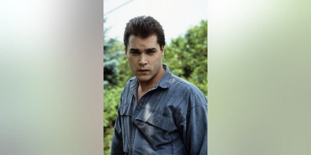 Ray Liotta worked with Jamie Lee Curtis in the 1988 drama about twin brothers.