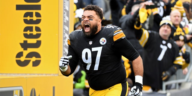 Steelers’ Cameron Heyward reacts to brother Connor getting drafted by Pittsburgh