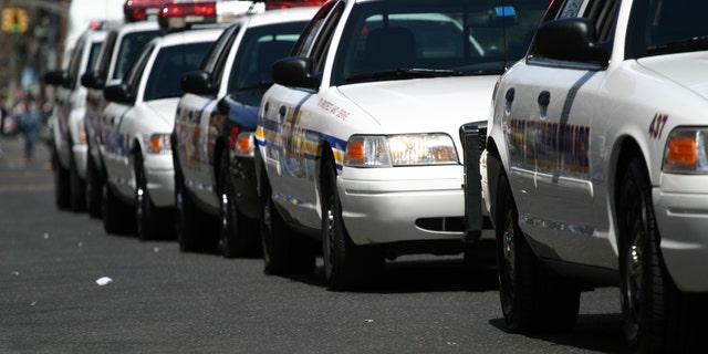 Line-up of police cars