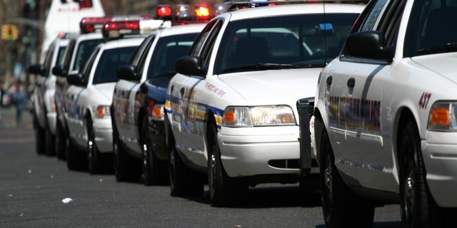 Line-up of police cars