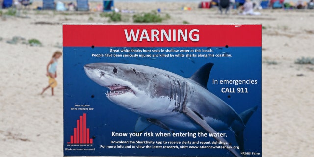 Chatham, Mass-August 11: Shark warning sign at Lighthouse Beach on August 11, 2021 in Chatham, Massachusetts.