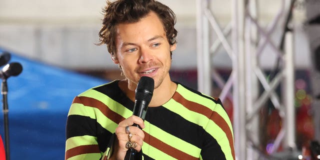Harry Styles has found success as a solo artist after One Direction split up. 