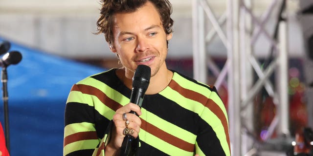 The class flyer for the Harry Styles music course says the course will focus on the singer's music, along with "the cultural and political development of the modern celebrity."