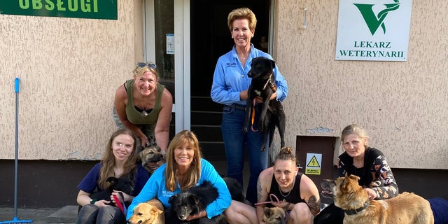 Big Dog Ranch Rescue founder and CEO Lauree Simmons and Ukrainian refugees are working together to save dogs who have been separated from their owners during the Russian invasion. 