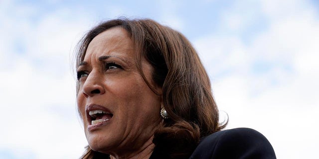 Private companies have spent $4.2 billion in Central America in response to Vice President Kamala Harris’ mass migration initiative, the White House announced Monday.