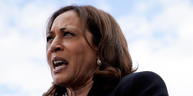 Vice President Kamala Harris speaks with members of the press before boarding Air Force Two at Buffalo Niagara International Airport, Saturday, May 28, 2022, in Buffalo, N.Y. (AP Photo/Patrick Semansky)