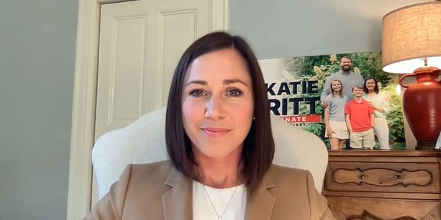 Republican Alabama Senate candidate Katie Britt speaks with Fox News' Brandon Gillespie via Zoom on May 17, 2022. (Brandon Gillespie)