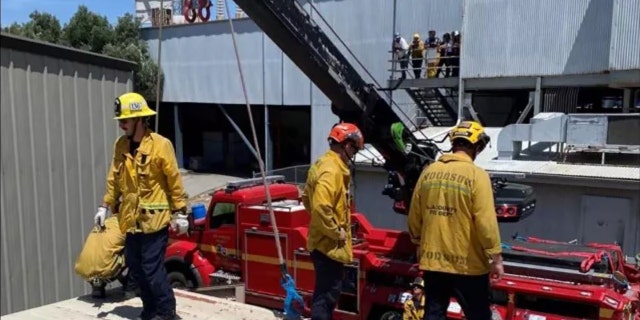 Fire crews responded to Six Flags Magic Mountain in Valencia, Calif., on Thursday after a curios bear wandered into the theme park and got trapped between two trailers.