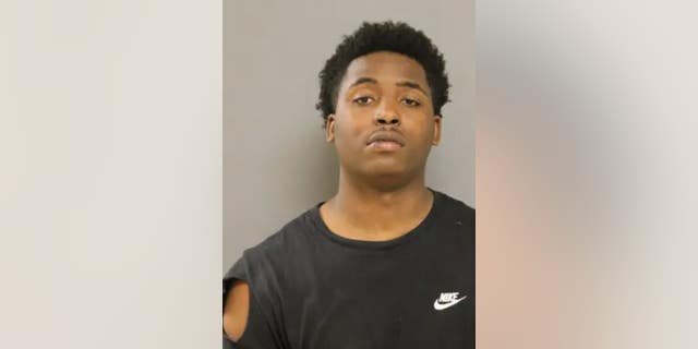 Mario Sanders, 20, allegedly attacked two Chicago police officers responding to a mass shooting on Tuesday.