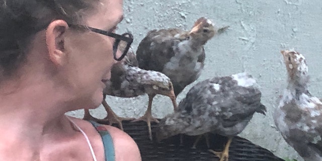 Melissa Gilbert hanging out with her chickens.