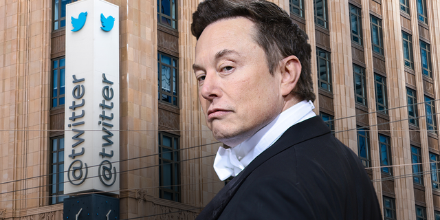 Elon Musk's ownership of Twitter has garnered waves of criticism from mainstream media and Democratic lawmakers.