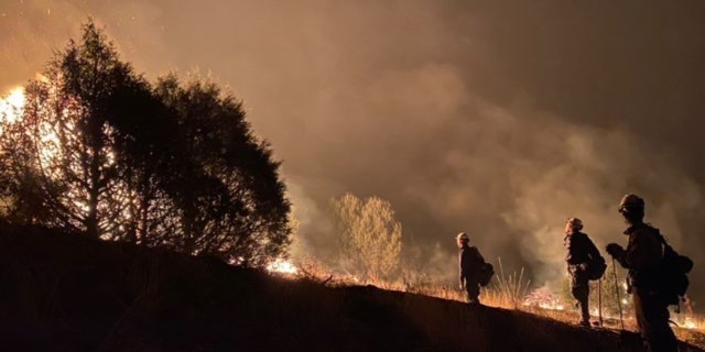 The Entiat Hot Shots work the night shift on Division K of the Hermits Peak and Calf Canyon Fires in New Mexico.