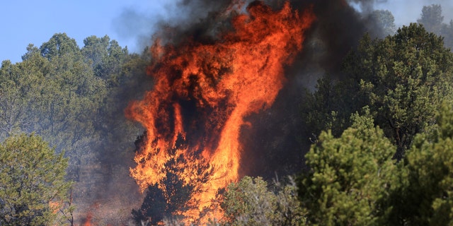FILE PHOTO: The Hermits Peak and Calf Canyon wildfire burns near Las Vegas, New Mexico, U.S. May 4, 2022.