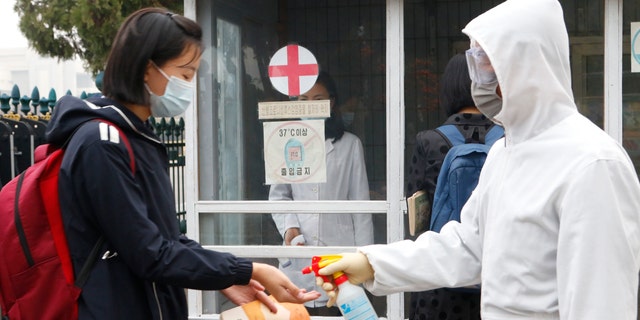 A schoolgirl wearing a face mask, disinfects her hands before entering the Kumsong Secondary School No. 2 in the morning in Pyongyang, North Korea, on Nov. 3, 2021. (AP Photo/Cha Song Ho, File)