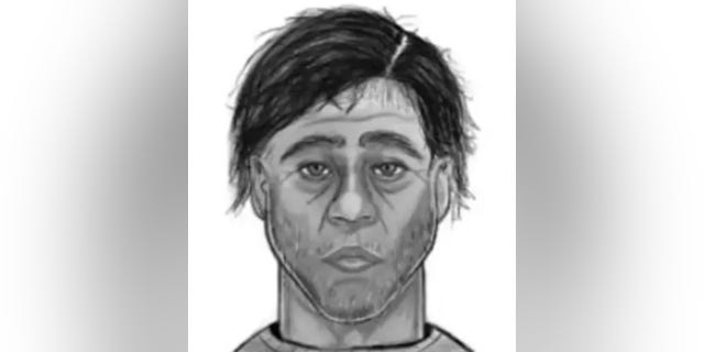 A sketch of the suspect who tried to kidnap a young girl.