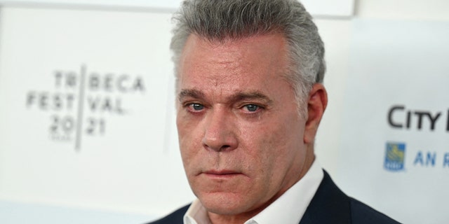 Ray Liotta has an upcoming project with Apple Tv titled "Black Bird" which is set to be released on July 8.