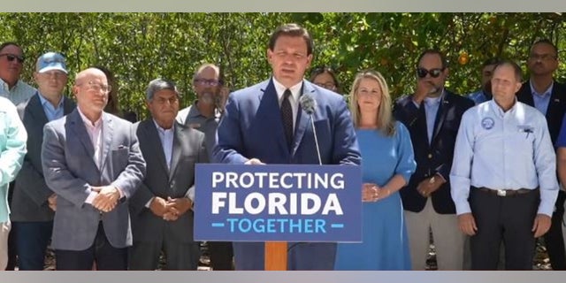 Florida Gov. Ron DeSantis is regularly attacked by mainstream media.