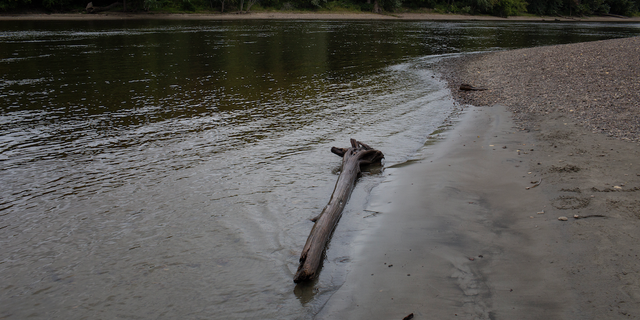 Both infants were abandoned in bodies of water in Minnesota. 