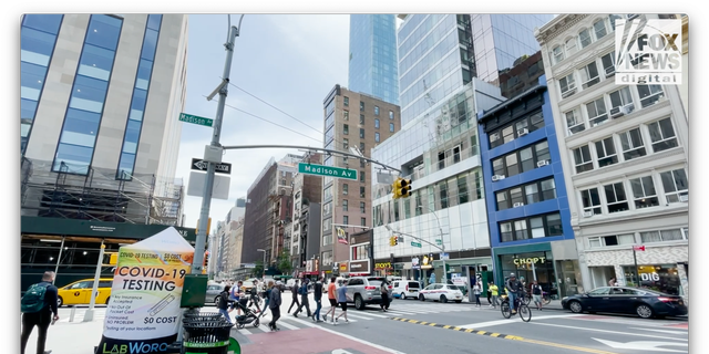 Madison Ave in New York City (Fox News Digital / Teny Sahakian)