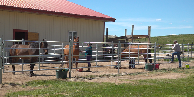 Operation Remount Corporation's ranch in Jay Em, Wyoming.