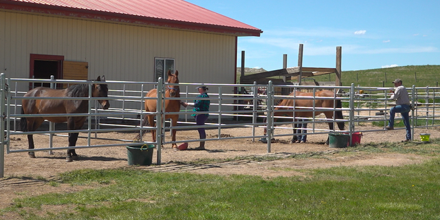 Operation Remount Corporation's ranch in Jay Em, Wyoming.