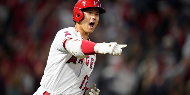 Los Angeles Angels designated hitter Shohei Ohtani (17) reacts as he runs the bases after hitting a grand slam home run during the seventh inning of a baseball game against the Tampa Bay Rays in Anaheim, Calif., Lunedi, Maggio 9, 2022. Andrew Velazquez, Brandon Marsh, and Mike Trout also scored.