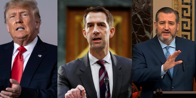 Former President Trump, Sen. Tom Cotton and Sen. Ted Cruz are considered top potential contenders in the 2024 GOP primary for president.