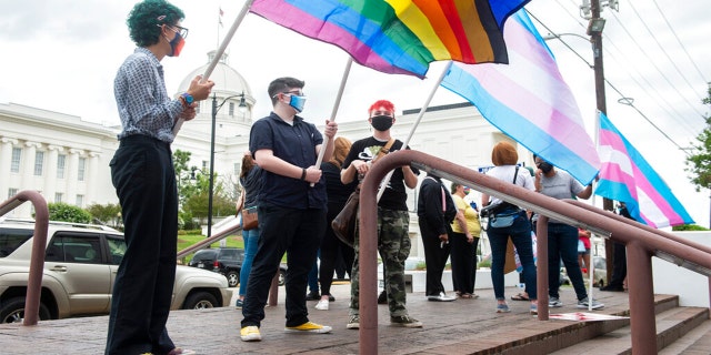 Tansgender rights paradegoers holding gay pride, transgender flags