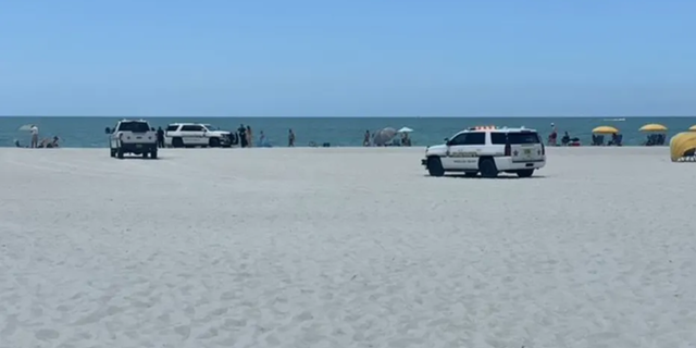 A Florida sheriff's deputy ran over a woman who was sunbathing on St. Pete Beach in Florida, according to officials.