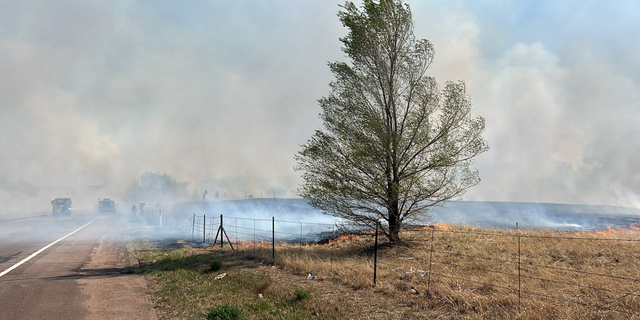 Multiple wildfires across Colorado Springs forced areas across the city to be placed under a mandatory evacuation on Thursday.