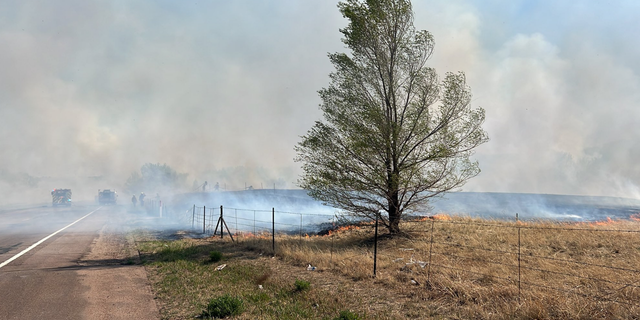 Multiple wildfires across Colorado Springs forced areas across the city to be placed under a mandatory evacuation on Thursday.