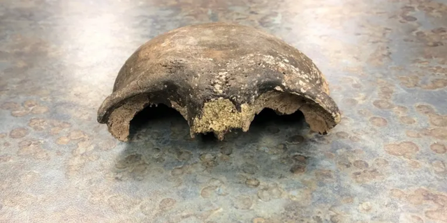 Minnesota authorities say that kayakers stumbled upon a nearly 8,000 years old human skull in a river.